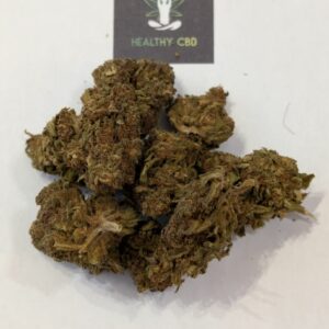 GELATO INDOOR