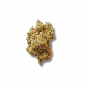 AMNESIA INDOOR