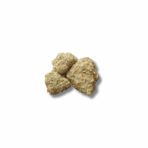 JACK HERRER INDOOR