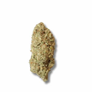 SUNSET SHERBET INDOOR