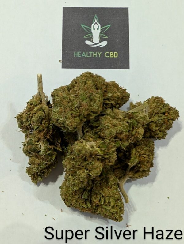 SUPER SILVER HAZE GREENHOUSE