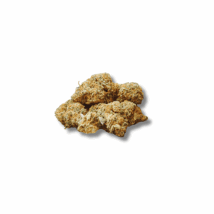 BRUCE BANNER INDOOR