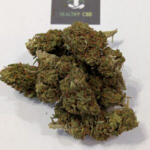 WATERMELON OUTDOOR