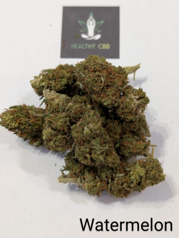 WATERMELON OUTDOOR