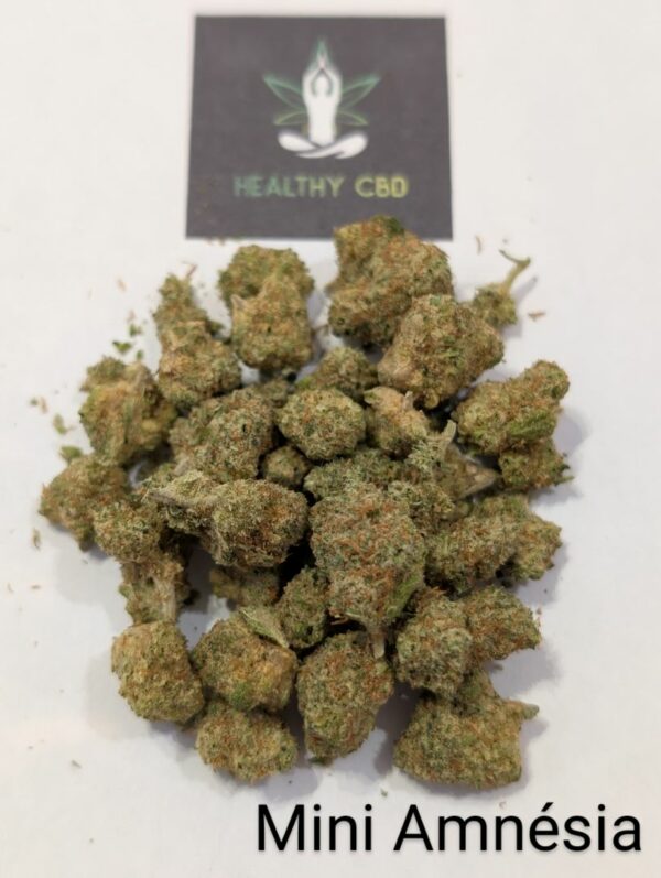 MINI AMNESIA