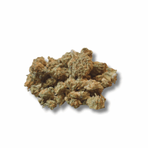 WATERMELON OUTDOOR
