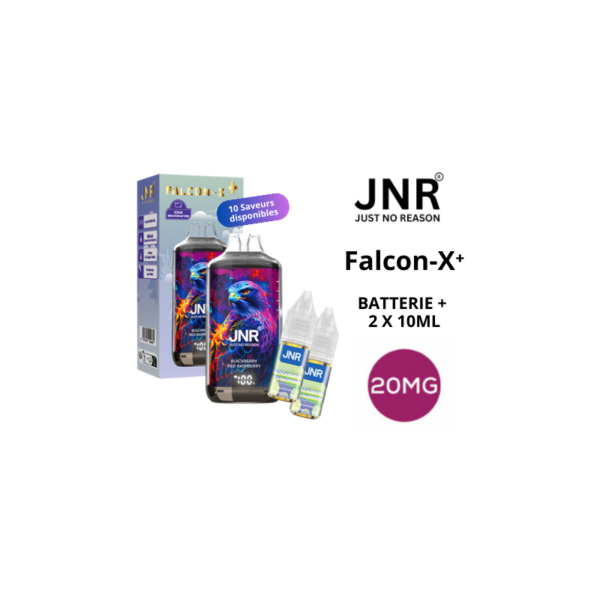 KIT PUFF FALCON X 28000 (2x10ML) 20MG